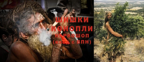 дживик Няндома