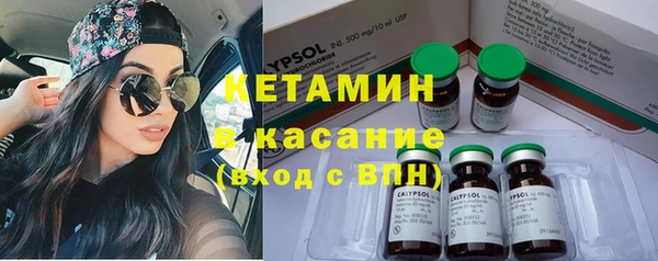 дживик Няндома