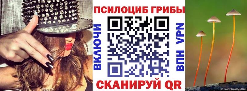 Галлюциногенные грибы Psilocybe  ОМГ ОМГ зеркало  Хадыженск 