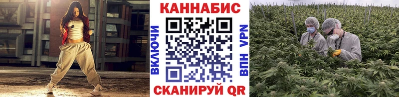 ОМГ ОМГ ТОР  Хадыженск  МАРИХУАНА сатива 